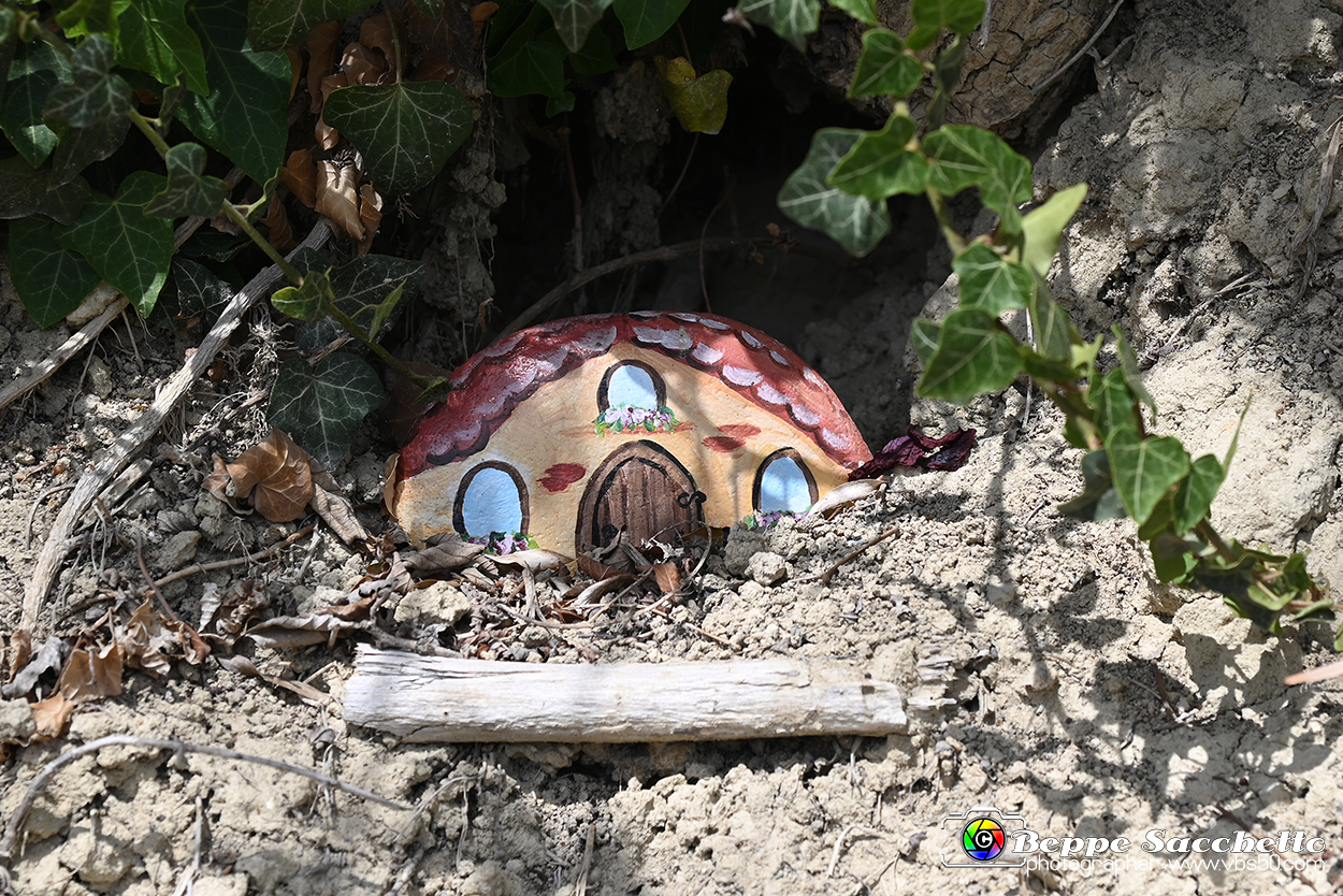 VBS_3064 - Mango (Cuneo) - Gnomovia.jpg